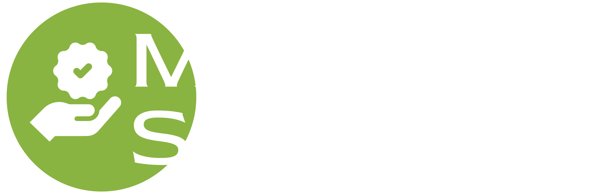 MetricFlowSolutions